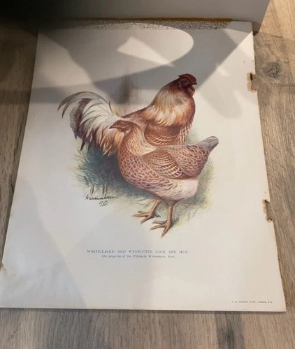 Antique 1902 harrison - harrison, weir