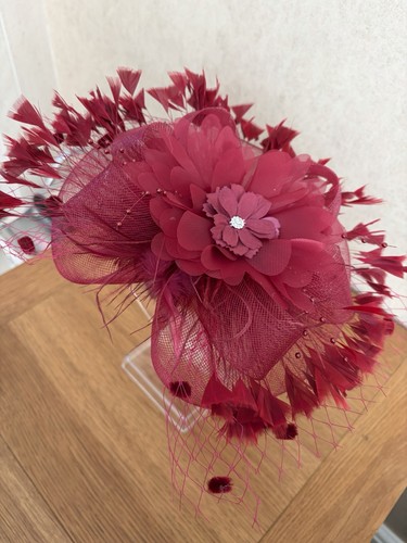 Burgundy fascinator with - burgundy,