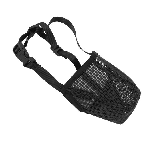 Dog muzzle mouth - muzzle,