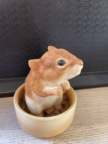 Leonardo collection hamster - collection,