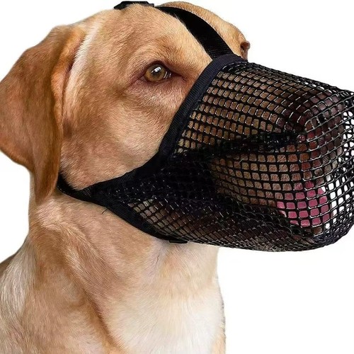 Breathable mesh dog - breathable,