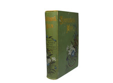 1895 Successful Men Who Have