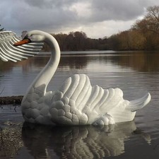 Life-Size Swimming Swan Garden