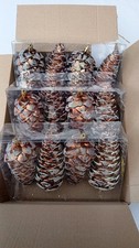 Christmas Tree Decorations Pine Cones Pinecones Natural Brown Frosted Finish x12