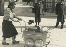 SA1614 RARE DUTCH ROYALTY