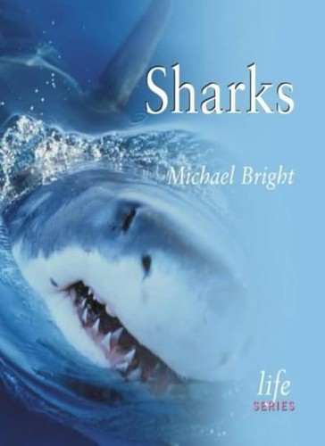 Sharks michael bright - (life)-michael,