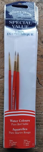 Winsor newton paint brushes