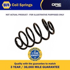 NAPA Coil Spring Rear NCS1823