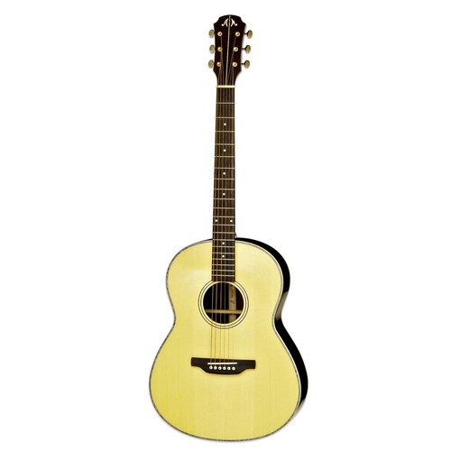 Aria msg meister acoustic - msg-02, n