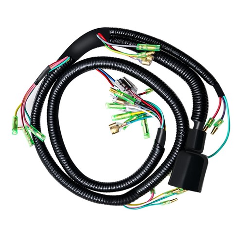 Car main wiring - car,