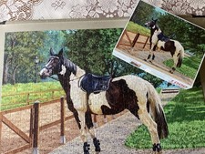 PIEBALD HORSE 1000 PIECE