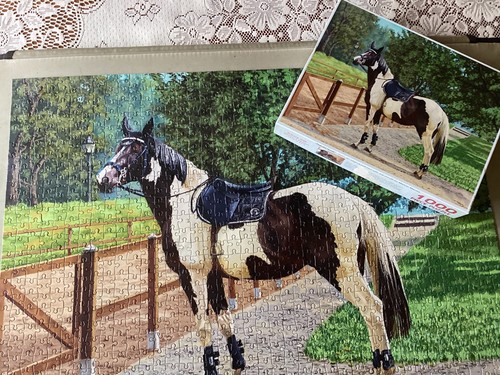 Piebald horse 1000 - 1000, piece