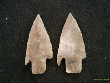 2 Cent Texas Bulverde