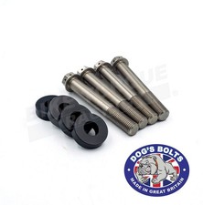 Dog's Bolts Caliper Fitting