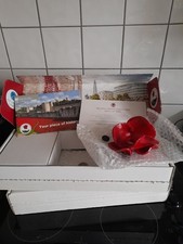 Tower of London Poppy Complete