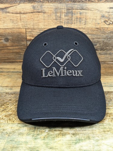 Lemieux dressage finals - lemieux, us