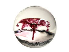 Rare Raspberry / Cranberry