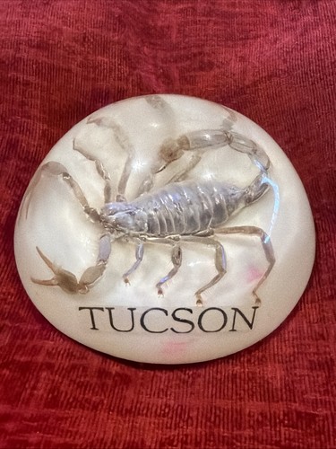 Vintage real scorpion - real,