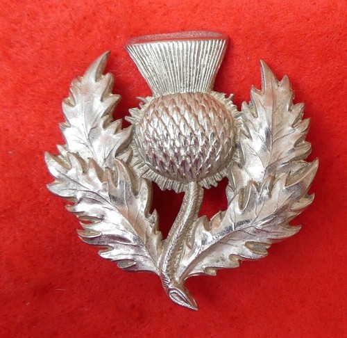 7th middlesex rifle - rifle, volunteers