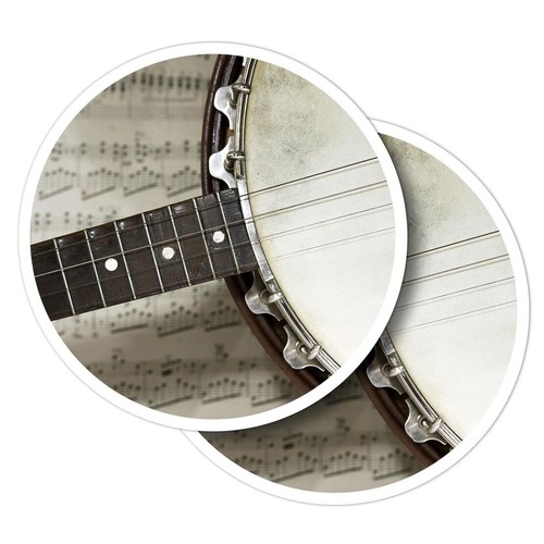Vinyl stickers banjo - stickers,