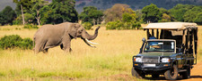 Lifetime safaris experience - lifetime,