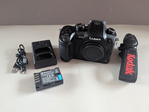 Panasonic lumix gh5 body - dc-gh5,