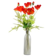 Red Poppy Flowers Fern Glass
