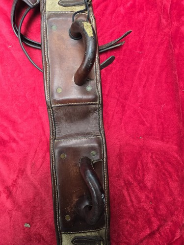 Saddle horse tricks acrobatics - horse,