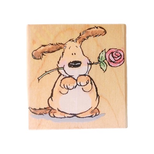 Cute dog by margaret - im,