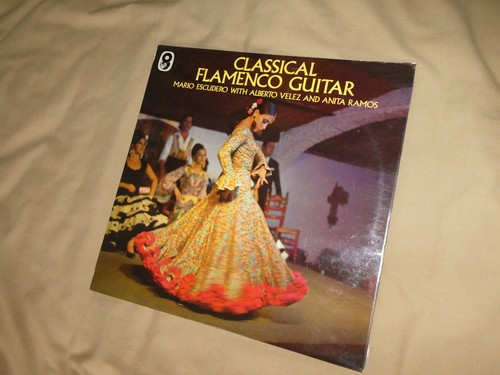 Classical flamenco guitar - guitar,