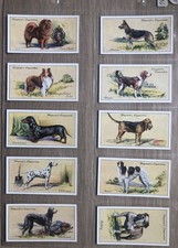 A Complete Set of Hignett