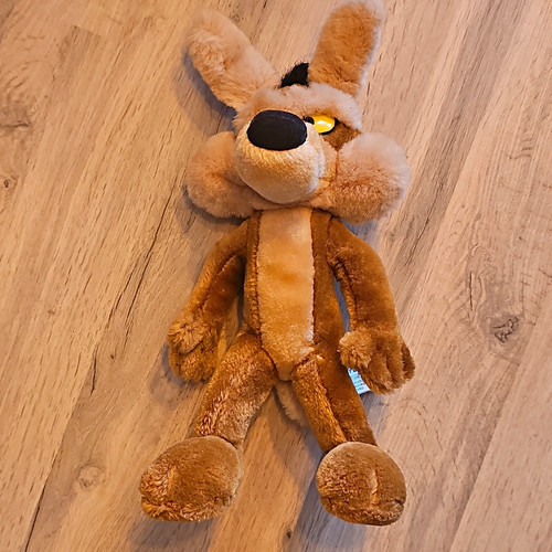 The company wile - the, coyote