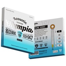 12-String Acoustic Guitar