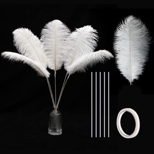 Ostrich feathers bulk - bulk, 20pcs