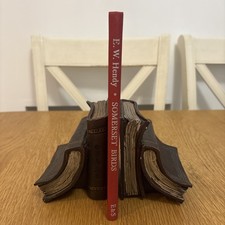 Somerset Birds - and Some