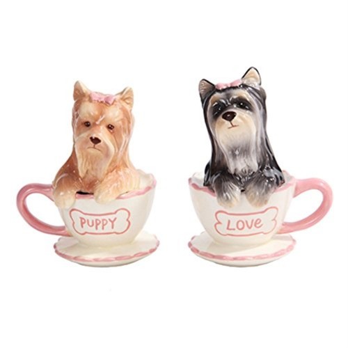 Yorkie puppies teacup salt - yorkie,