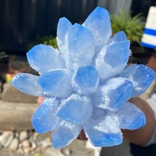 647G New find blue Phantom Quartz Crystal Cluster mineral samples