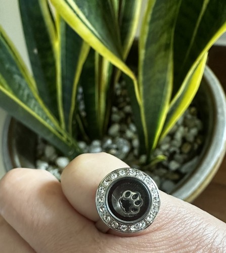 Origami owl silver with - owl,