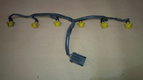 Wiring loom injection carlton - wiring,