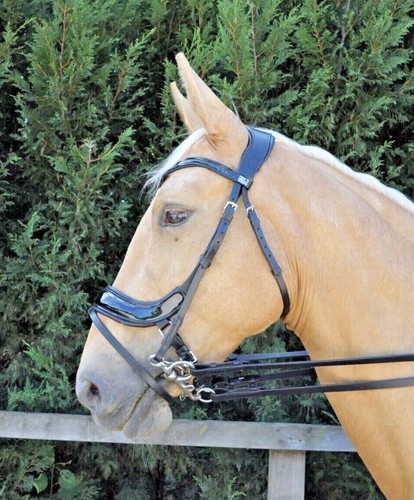 Patent leather bridle soft - patent,