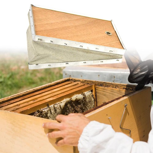 Bee hive smoker beekeeping - bee,