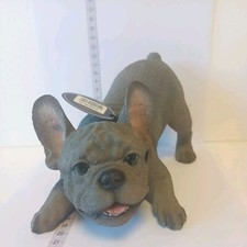 Vivid arts blue - blue, bulldog