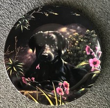 DOG PLATE ~ A TASTE OF SPRING