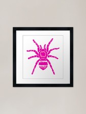 Tarantula pink framed art - tarantula!,