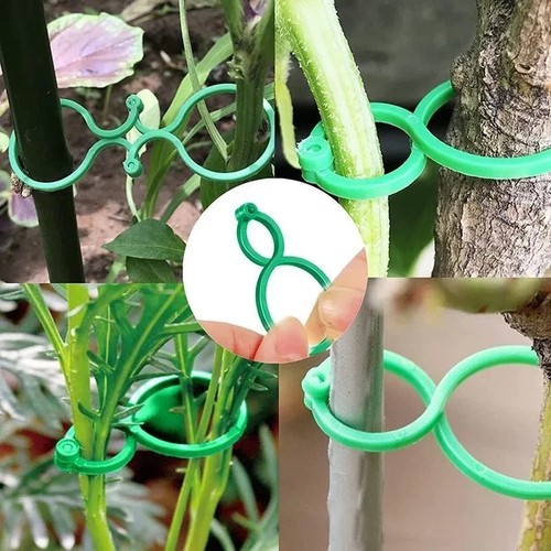 50pcs garden plant - 50pcs,