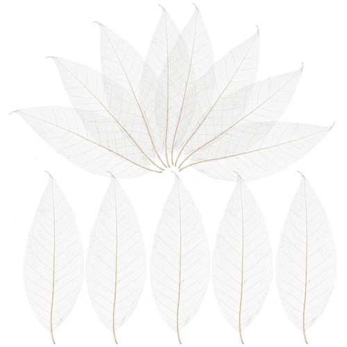100pcs white wooden skeleton - 100pcs,