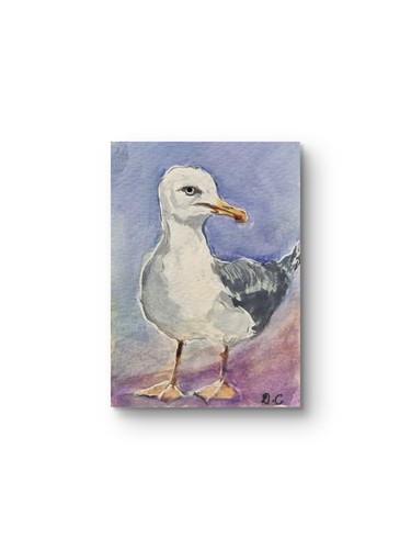 Original seagull watercolour - seagull,