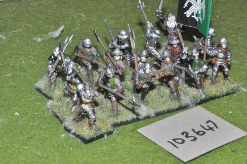 28mm medieval war roses - /,