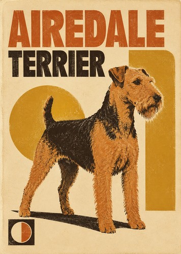 Airedale terrier dog print - terrier, a4