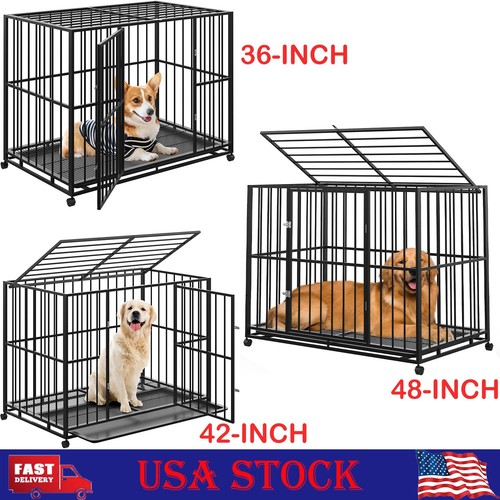 Heavy duty pet dog - pet, strong